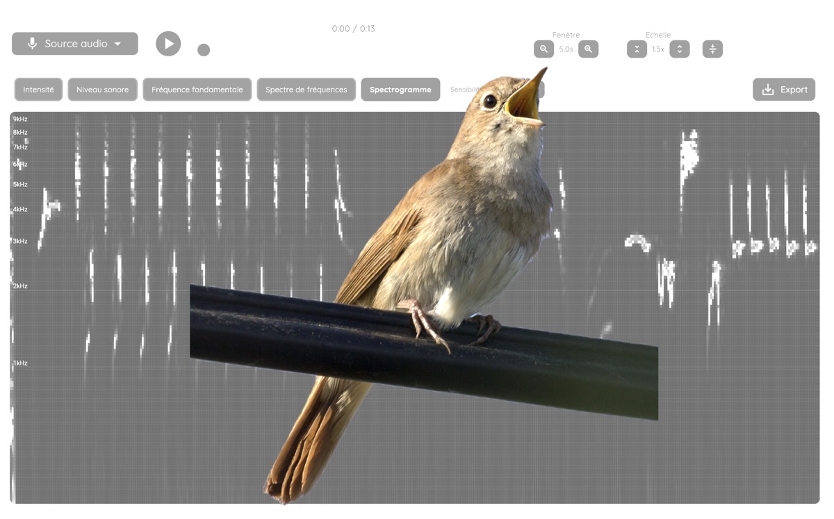 Spectrogram of bird song