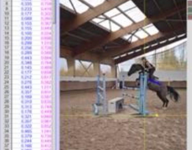 Cheval franchissant un obstacle en manège, à côté du tableur de mesures issu de l'analyse vidéo